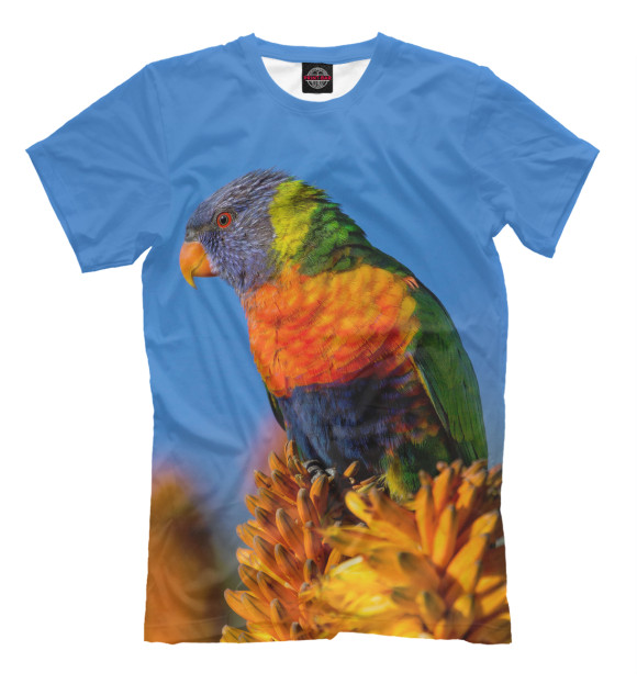 Мужская футболка с изображением Попугай цвета Грязно-голубой