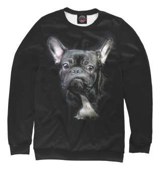 Французский бульдог