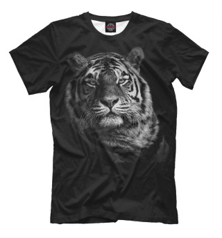 Dark tiger