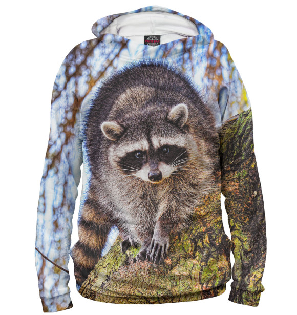 Мужское худи с изображением Енот цвета Белый