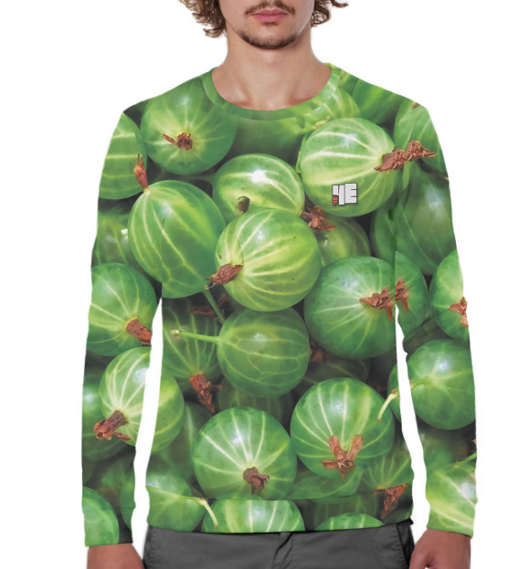 Мужской свитшот с изображением Крыжовник цвета Белый