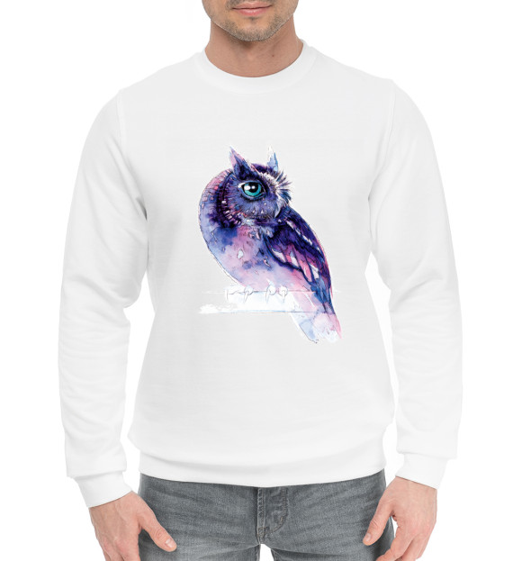 Мужской хлопковый свитшот с притом Сова с зелеными глазами цвета Белый Мужской хлопковый свитшот с изображением Сова с зелеными глазами цвета Белый