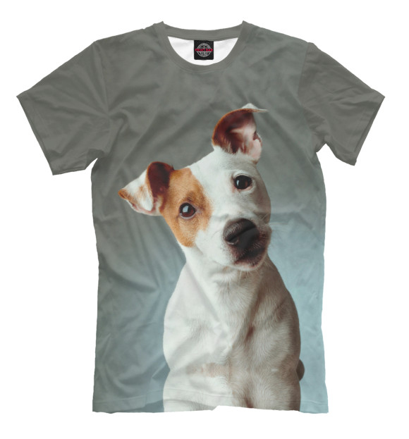 Футболка для мальчиков с изображением Jack Russell Terrier цвета Серый
