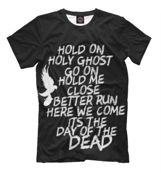 Футболка для мальчиков Day of the dead lyrics
