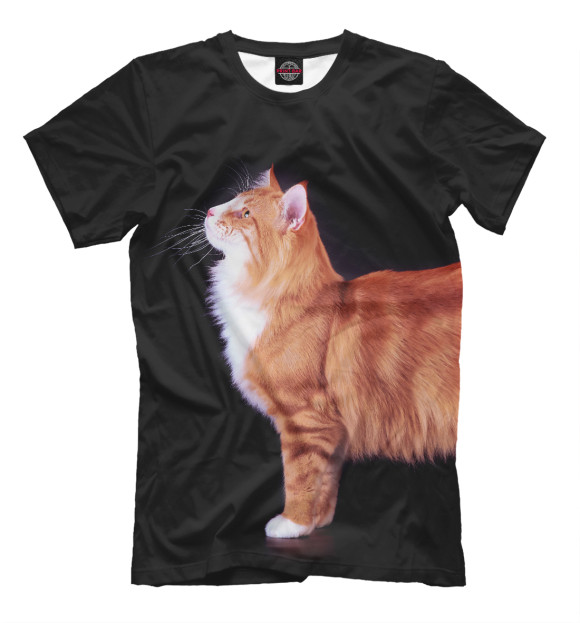 Футболка для мальчиков с изображением Кот подмышкой цвета Черный