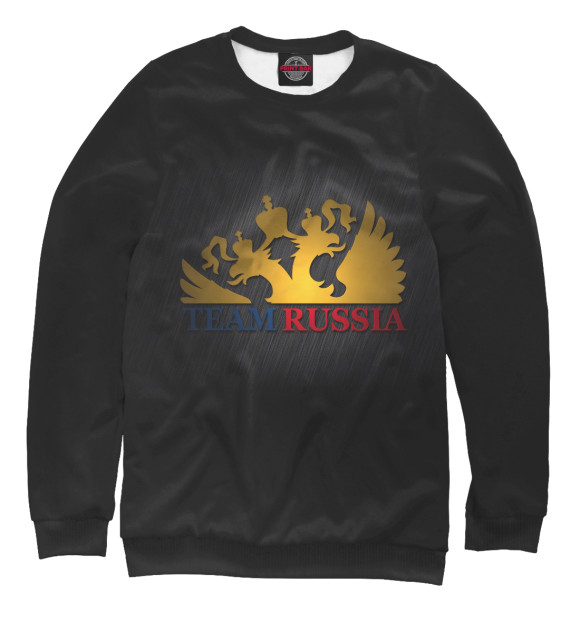 Мужской свитшот с изображением TEAM RUSSIA цвета Белый