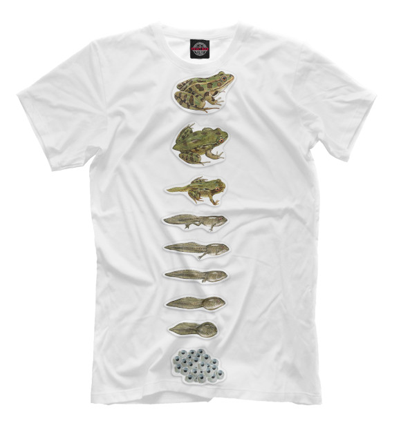 Мужская футболка с изображением Развитие лягушки цвета Белый
