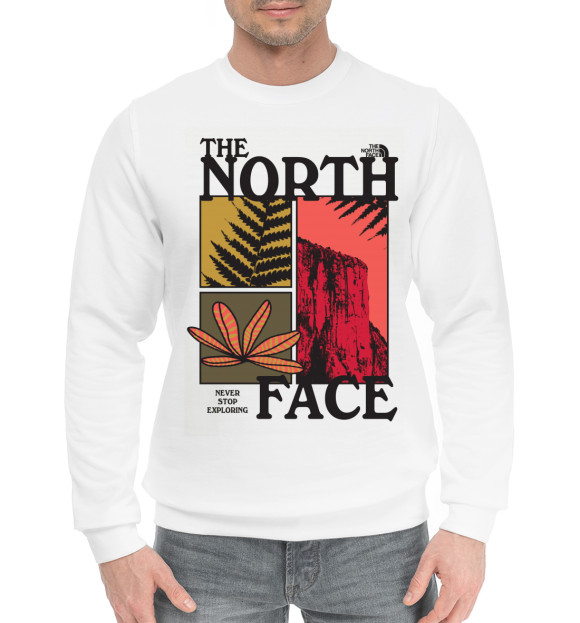 Мужской хлопковый свитшот с изображением The North Face цвета Белый