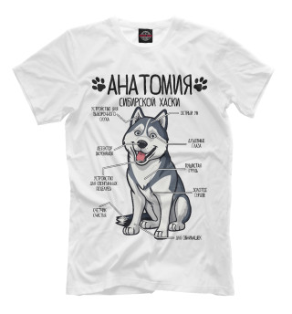 Мужская футболка Сибирский Хаски анатомия строение собаки