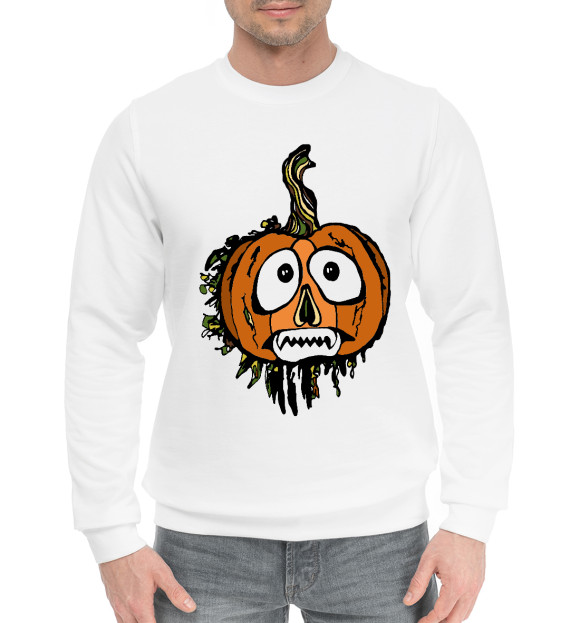 Мужской хлопковый свитшот с изображением Тыква рыжая цвета Белый