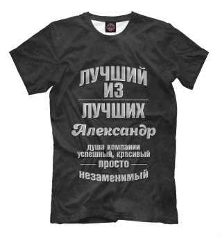 Футболка для мальчиков Незаменимый Александр