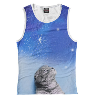 Кот и космос