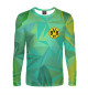 Мужской лонгслив Borussia