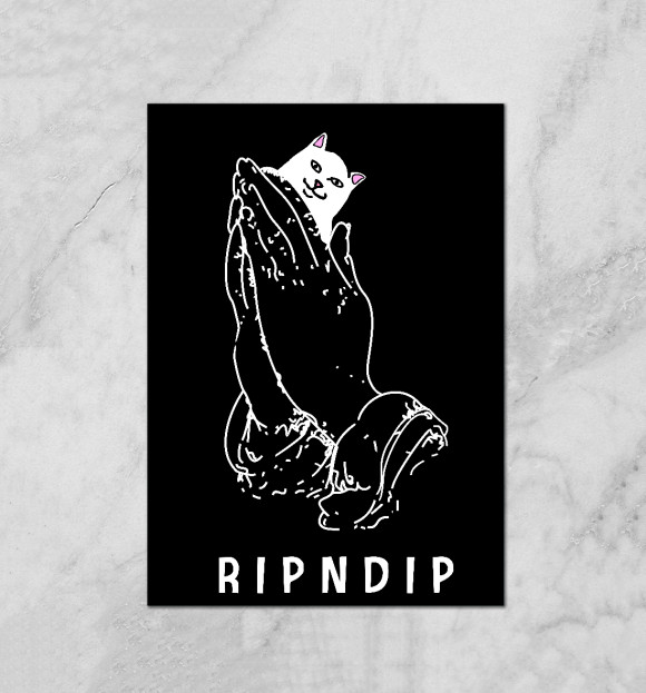Плакат с изображением Кот - RIPNDIP цвета Белый