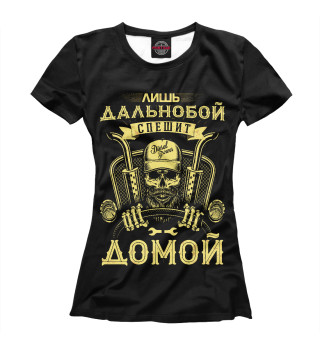 Лишь дальнобой спешит домой
