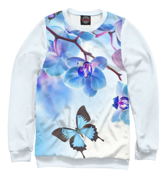 Свитшот для мальчиков с изображением Цветы и бабочка цвета Белый
