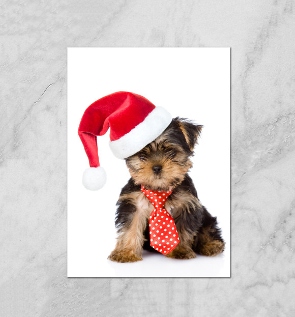 Плакат с изображением Йорк цвета Белый