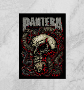 Pantera Skull and Snake