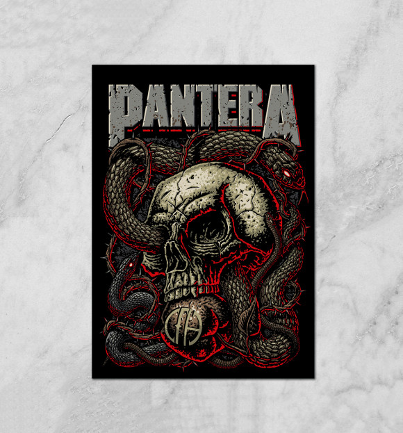 Плакат с изображением Pantera Skull and Snake цвета Белый