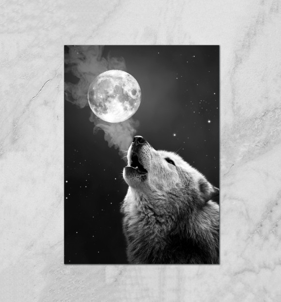 Плакат с изображением Волк одиночка цвета Белый