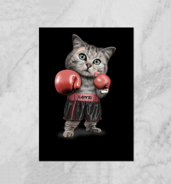 Плакат с изображением Кот Боксёр цвета Белый