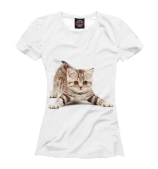 Женская футболка Кот
