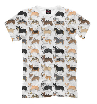 Welsh Corgi Team