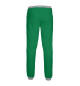 Мужские спортивные штаны Бостон Селтикс (форма)