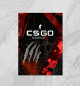  CS:GO /  Survivor Z