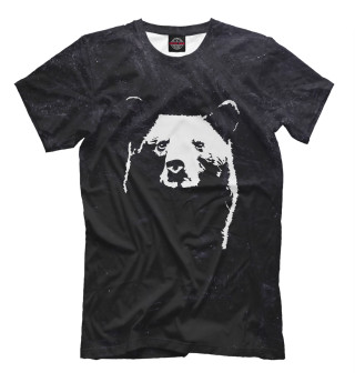 Футболка для мальчиков Bear