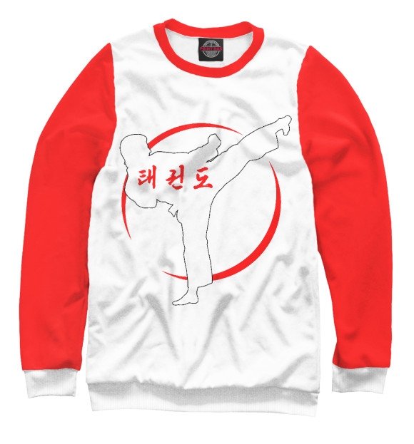 Мужской свитшот с изображением Taekwondo Vector White цвета Белый