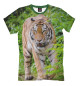 Футболка для мальчиков Tiger