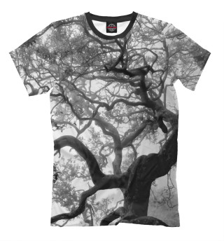 Мужская футболка Кудрявый лес