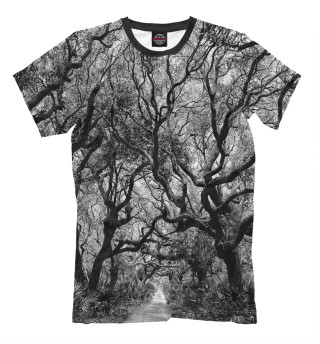 Мужская футболка Кудрявый лес