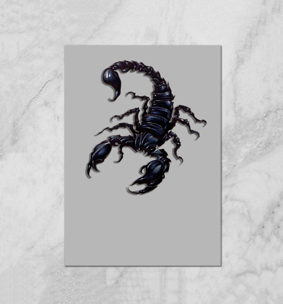 Плакат с изображением Скорпион цвета Белый