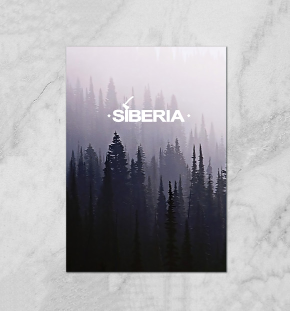 Плакат с изображением SIBERIA цвета Белый