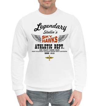 Сталинские соколы