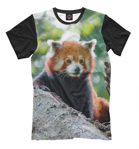 Мужская футболка с изображением Красная панда цвета Белый