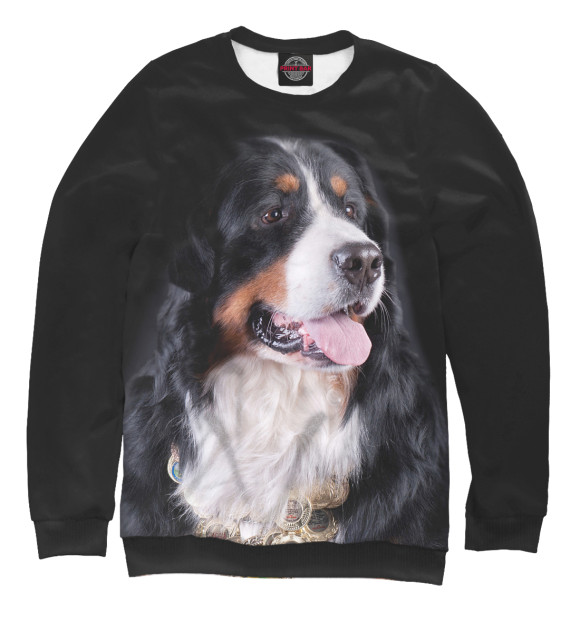 Мужской свитшот с изображением Бернский зенненхунд цвета Белый