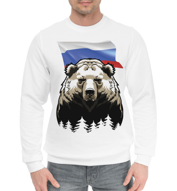 Мужской хлопковый свитшот с изображением Россия цвета Белый