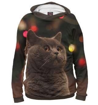 Новогодний кот