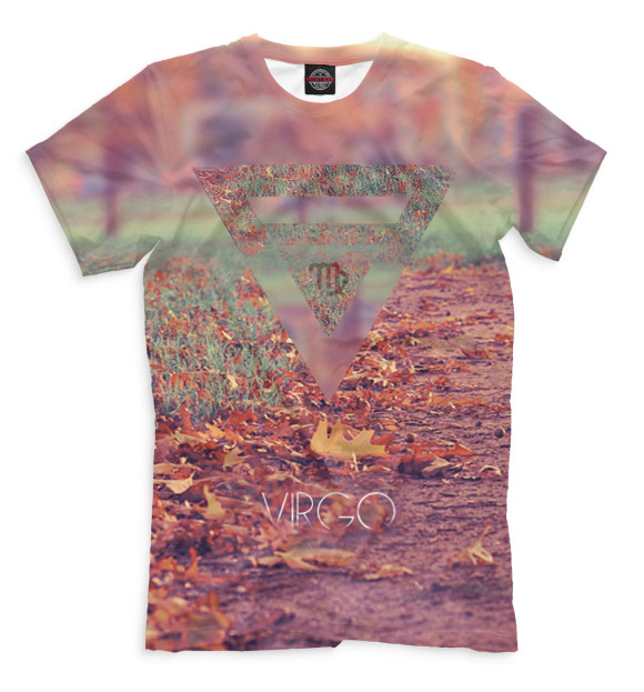 Футболка для мальчиков с изображением Дева цвета Серый