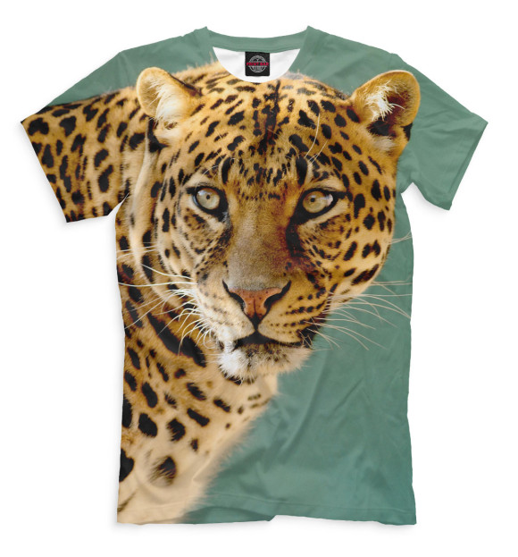 Футболка для мальчиков с изображением Леопард цвета Серый