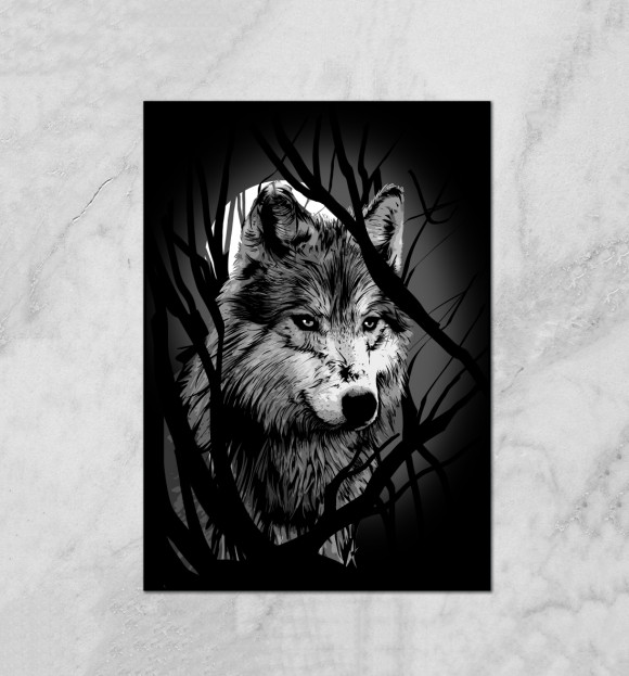 Плакат с изображением Grey Wolf цвета Белый