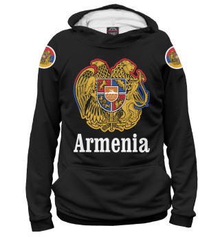 Худи для мальчика Герб Армении