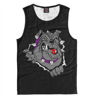 Pit-Bull