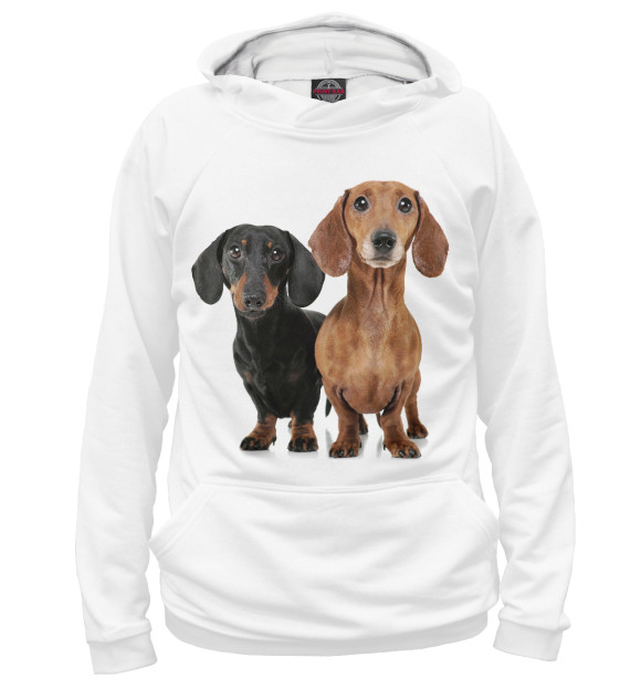 Мужское худи с изображением Таксы цвета Белый