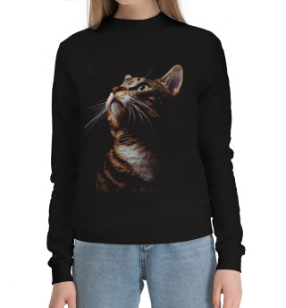 Котейка