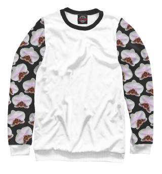 Phalaenopsis (White)