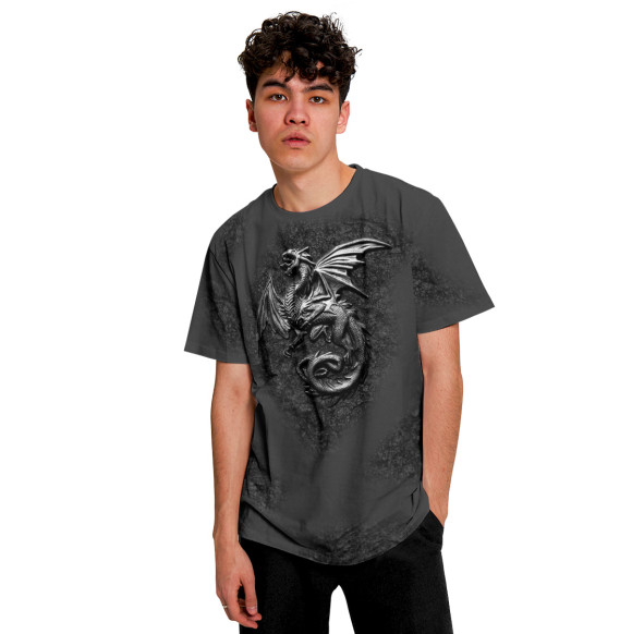 Мужская футболка с изображением Стальной Дракон на скале. цвета Белый